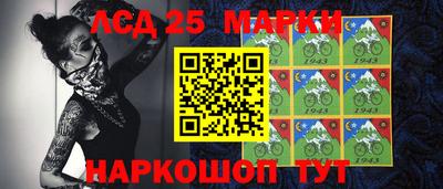 стафф Гатчина