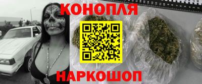 стафф Гатчина