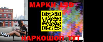 стафф Гатчина