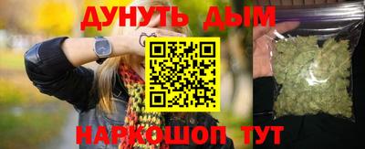 стафф Гатчина